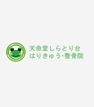 働く先輩たちの声