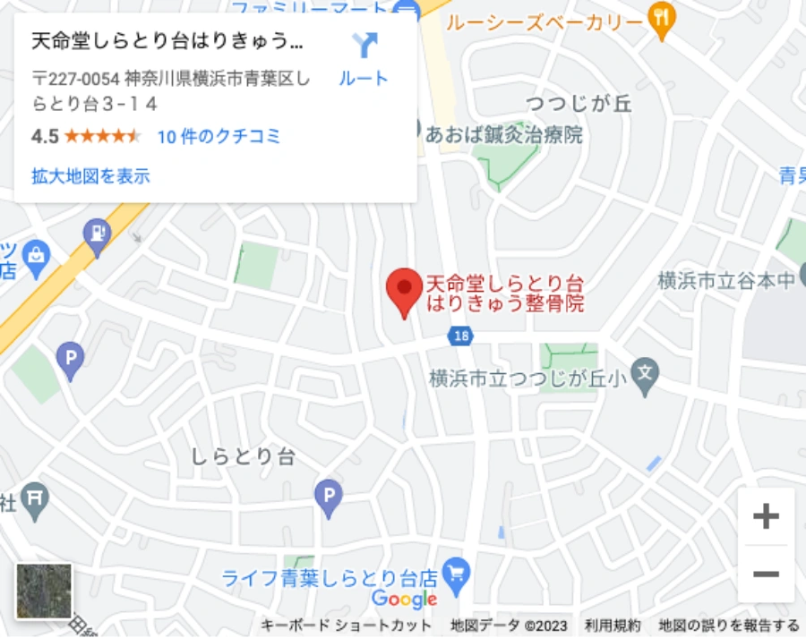 Googleマップ